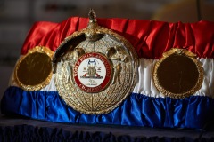 WBA world champion belt